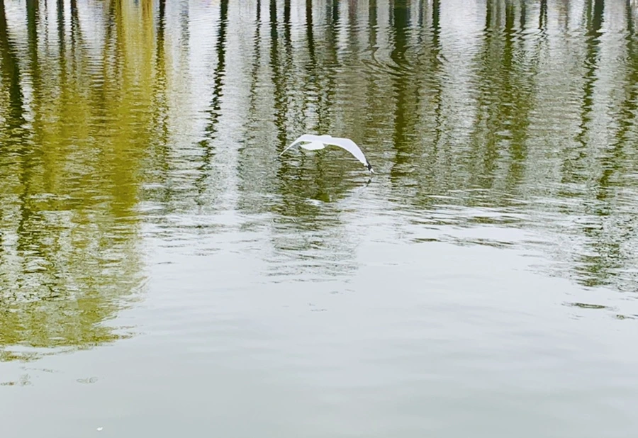 IMG_3854.jpg?type=w966