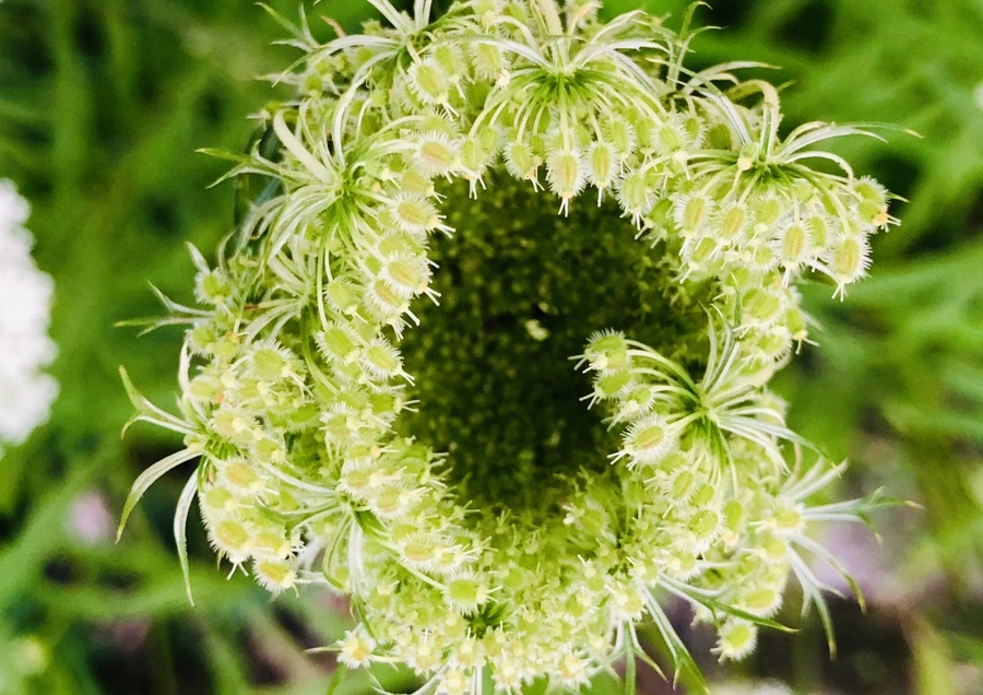 IMG_4863.jpg?type=w966