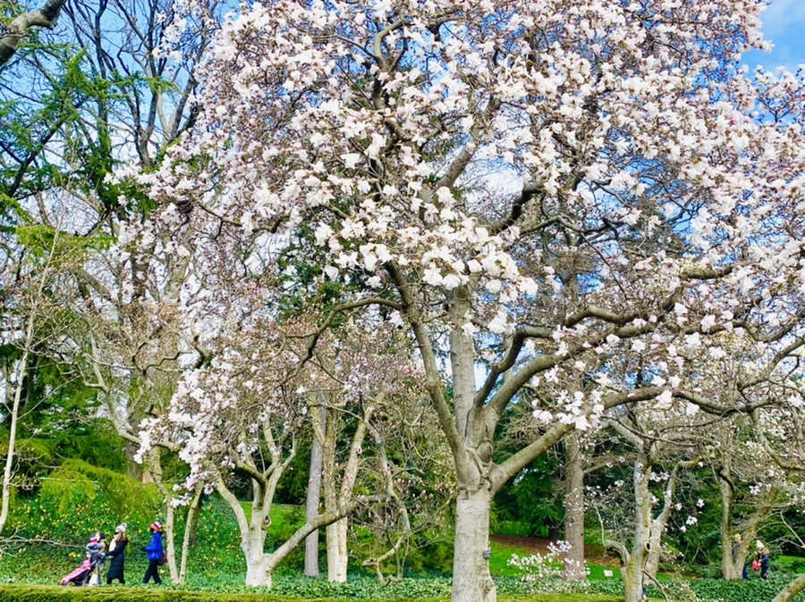 IMG_6499.jpg?type=w966