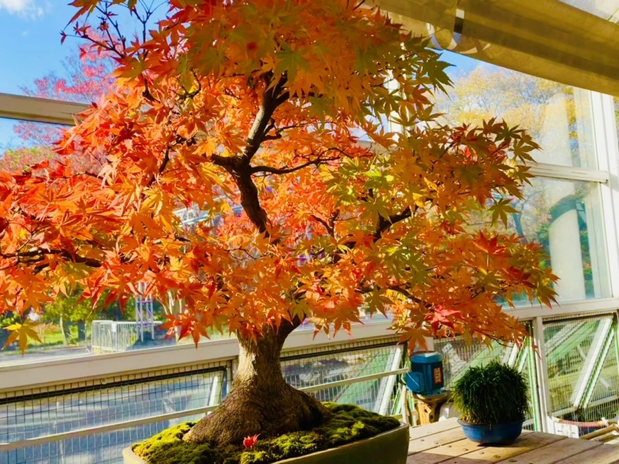 IMG_3153.jpg?type=w966