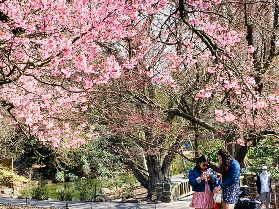 IMG_7330.jpg?type=w966