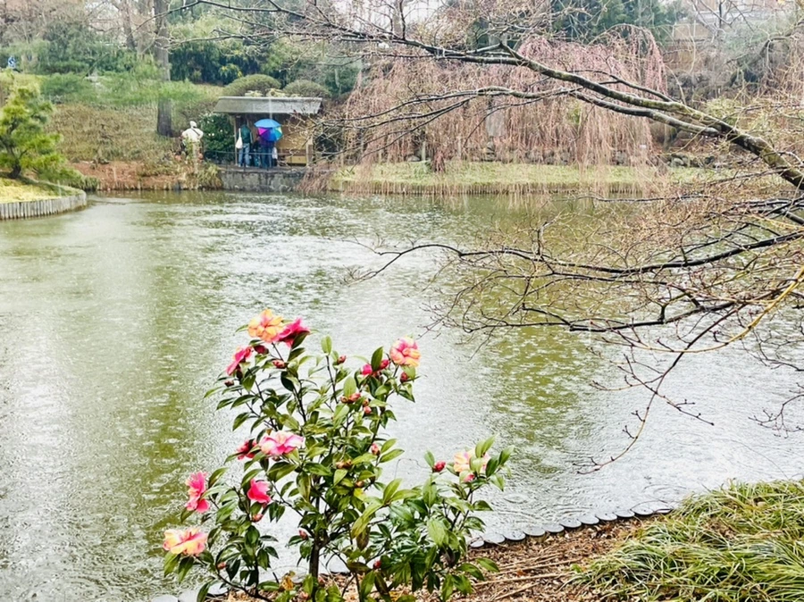 IMG_7329.jpg?type=w966