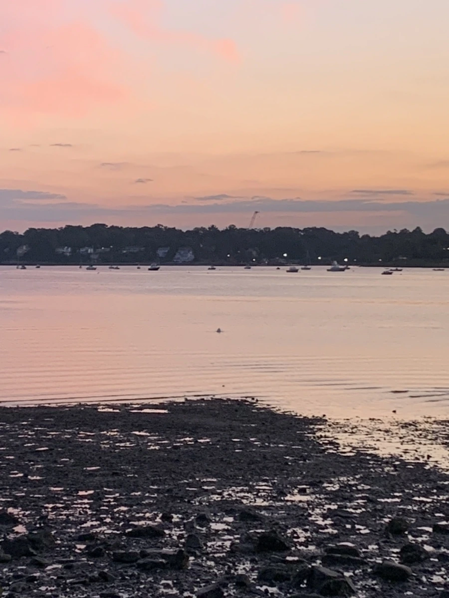 IMG_8722.jpg?type=w966