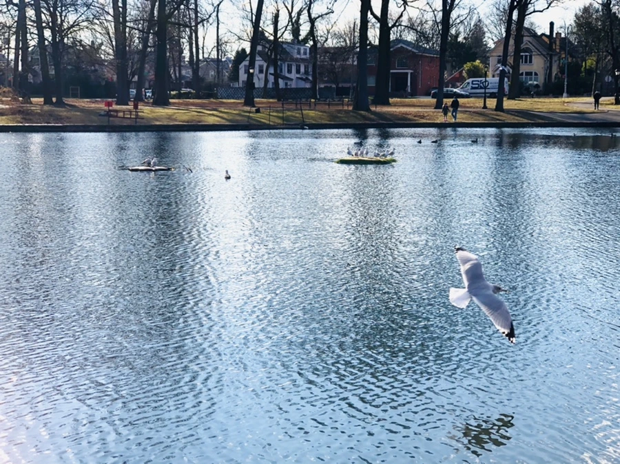 IMG_4142.jpg?type=w966