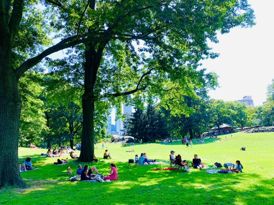 IMG_4428.jpg?type=w966