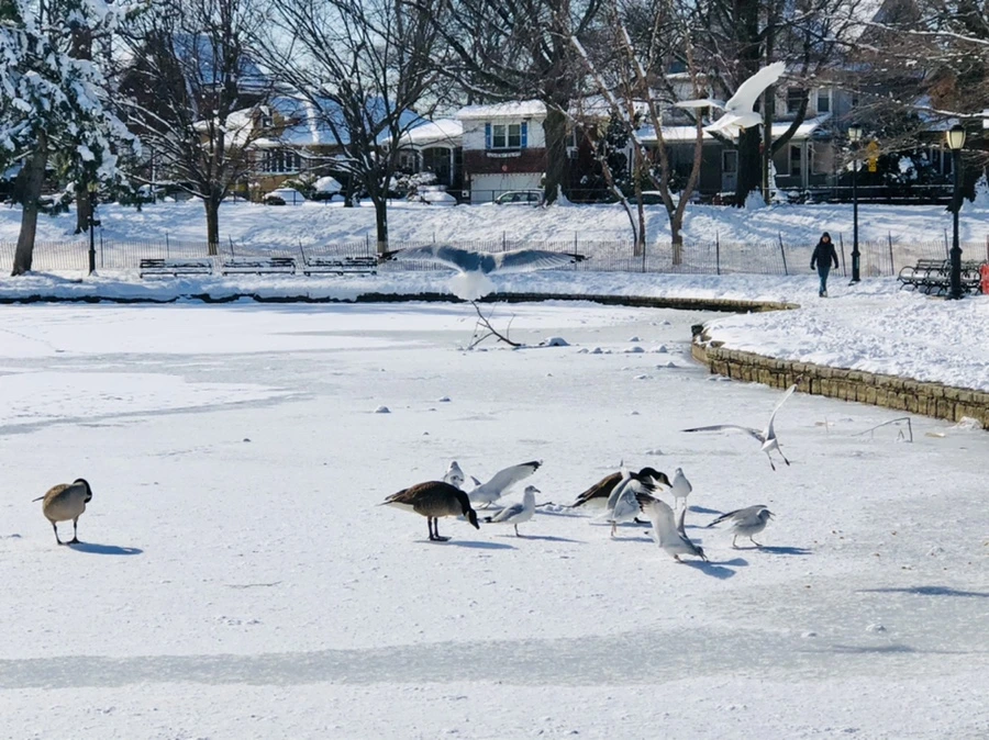 IMG_1330.jpg?type=w966