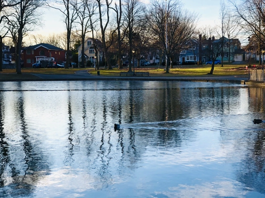 IMG_0935.jpg?type=w966