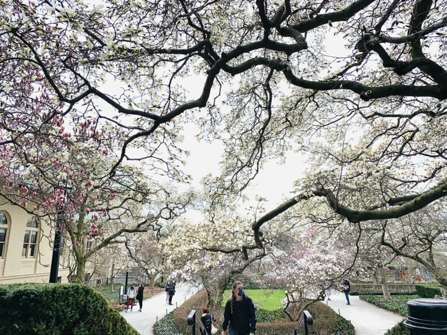 IMG_7124.jpg?type=w966