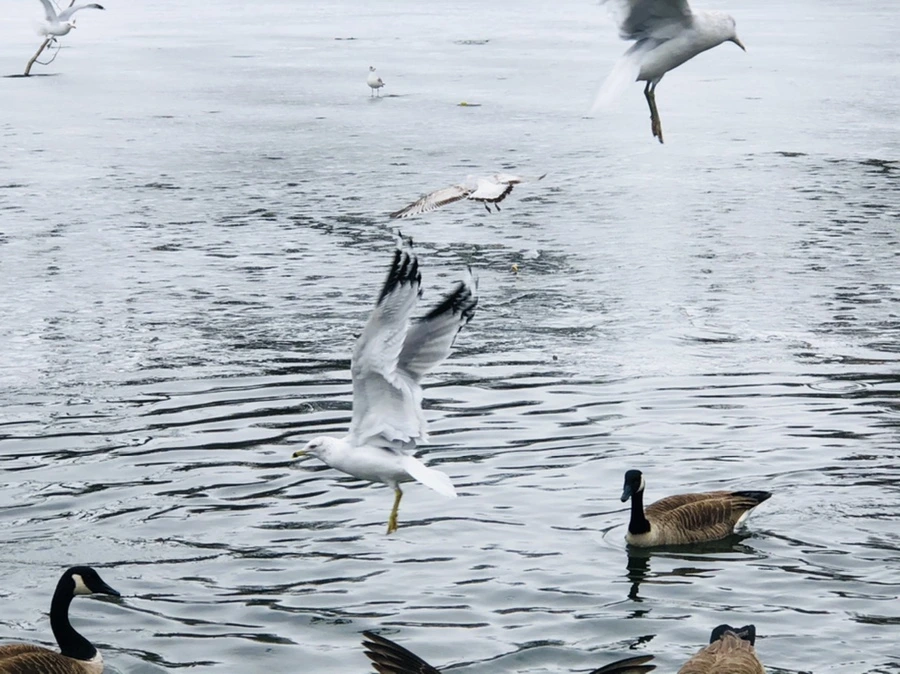 IMG_5888.jpg?type=w966