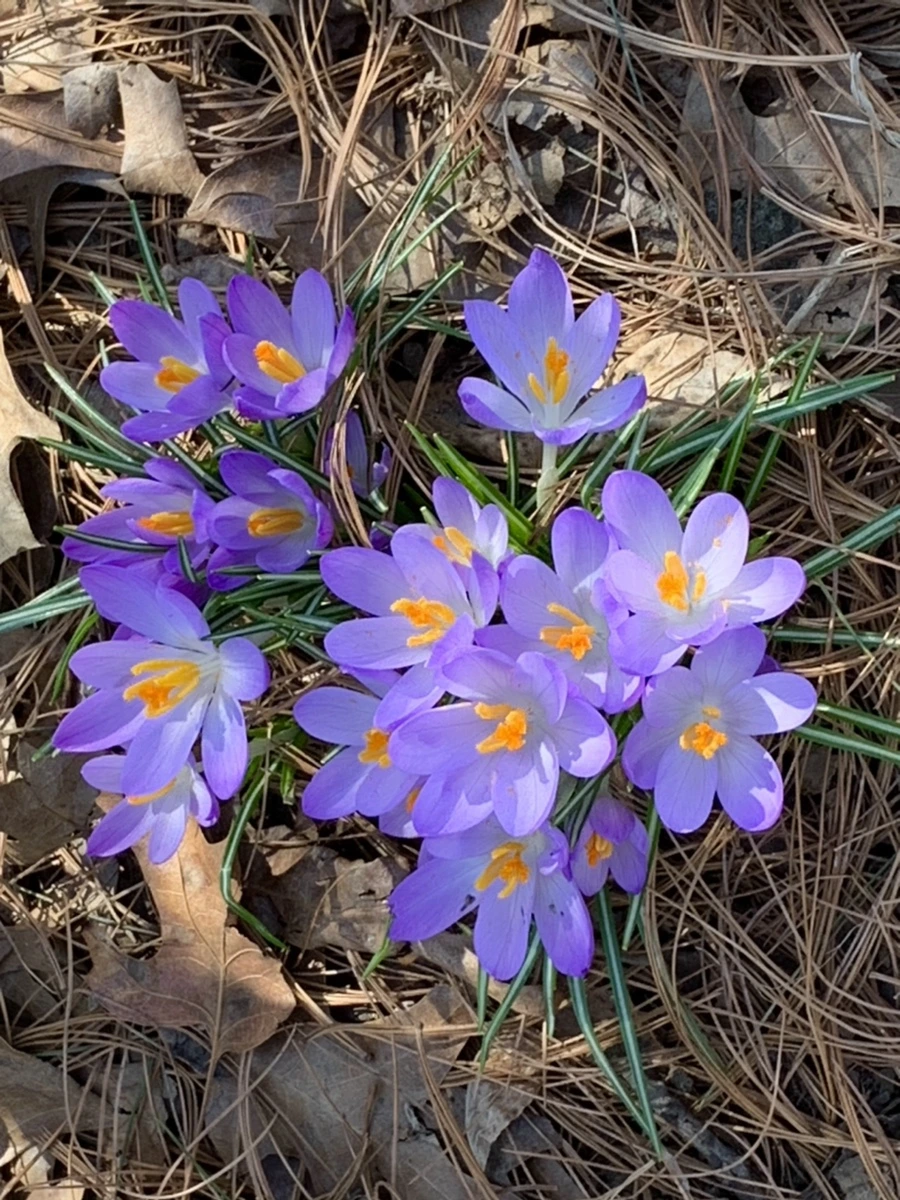 IMG_9747.jpg?type=w966