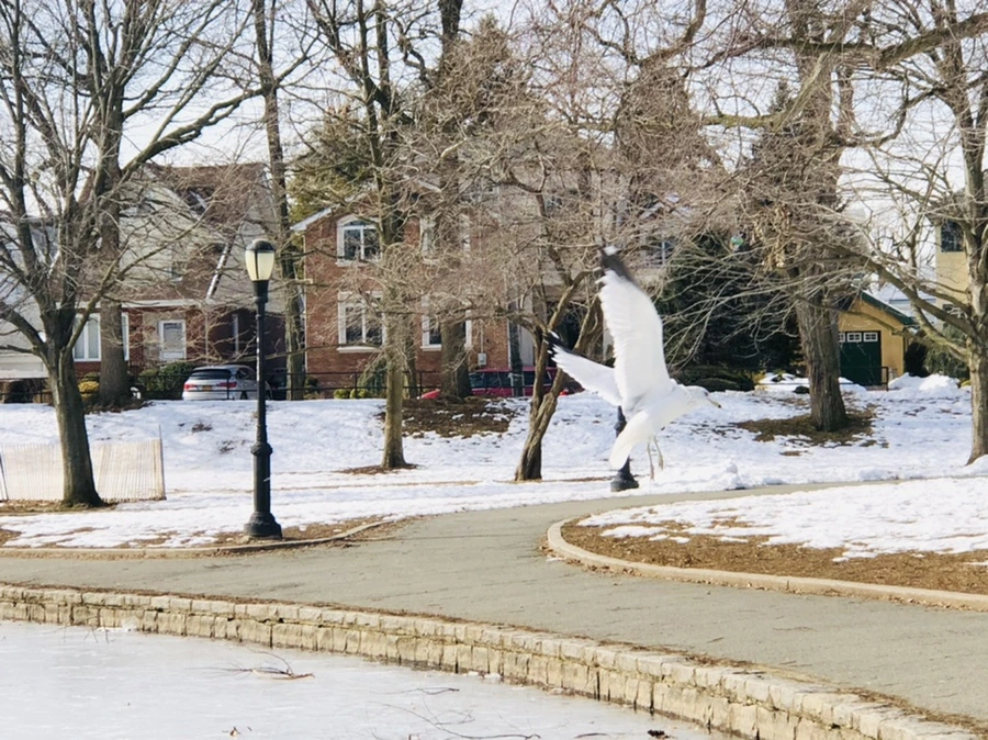 IMG_3170.jpg?type=w966