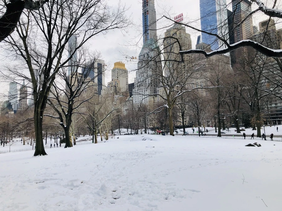 IMG_0392.jpg?type=w966