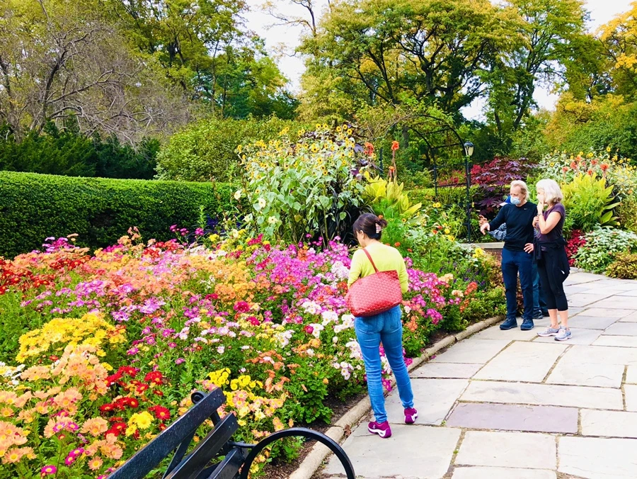 IMG_2404.JPG?type=w966