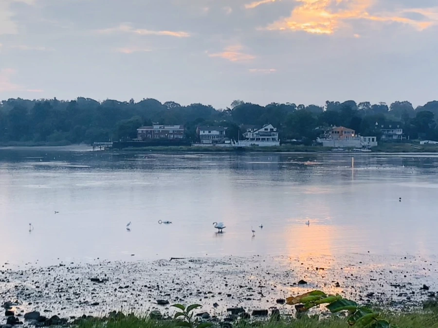 IMG_8185.jpg?type=w966