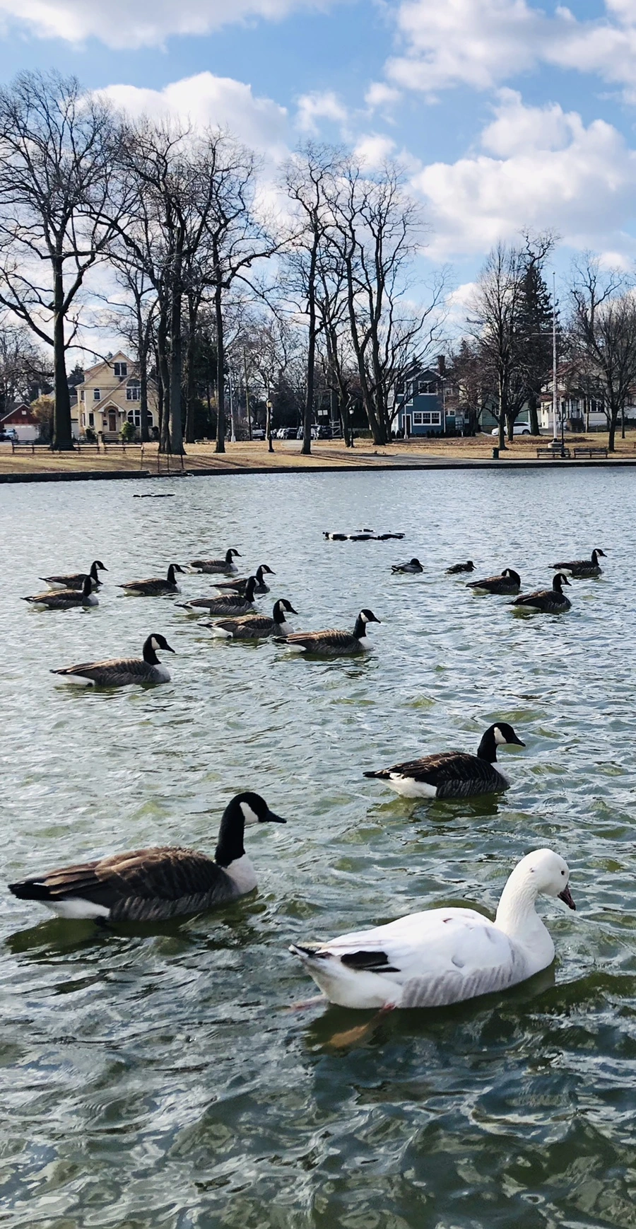 IMG_0167.jpg?type=w966