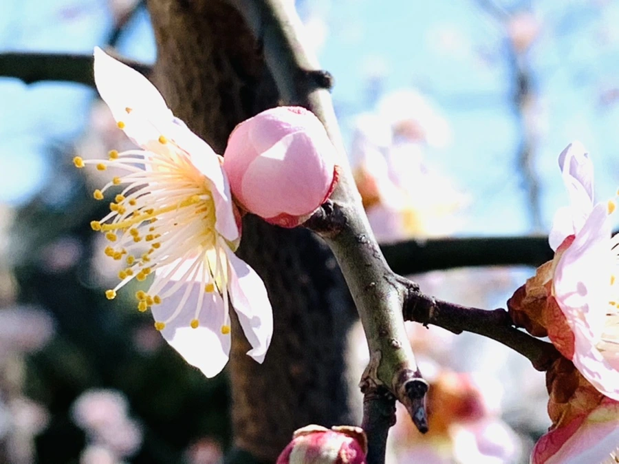 IMG_1339.jpg?type=w966