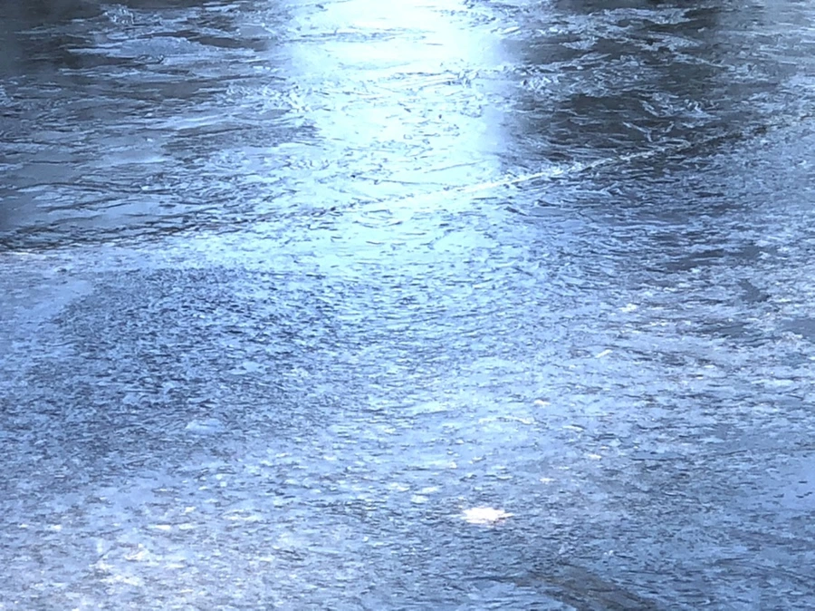 IMG_1436.jpg?type=w966