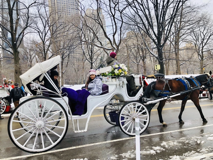 IMG_0371.jpg?type=w966