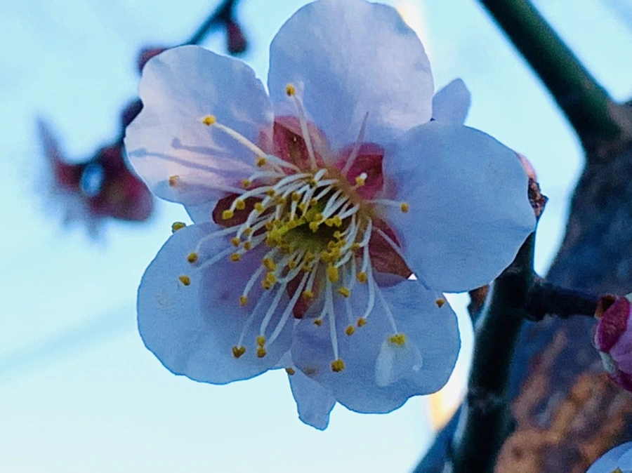 IMG_0842.jpg?type=w966