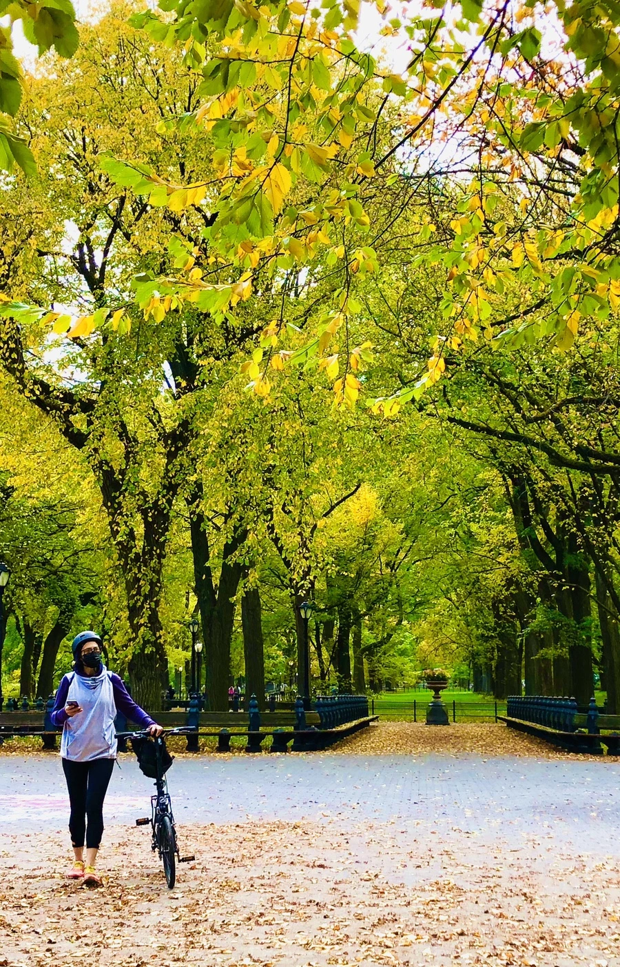 IMG_3062.jpg?type=w966