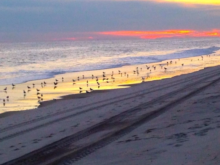 IMG_2788.JPG?type=w1