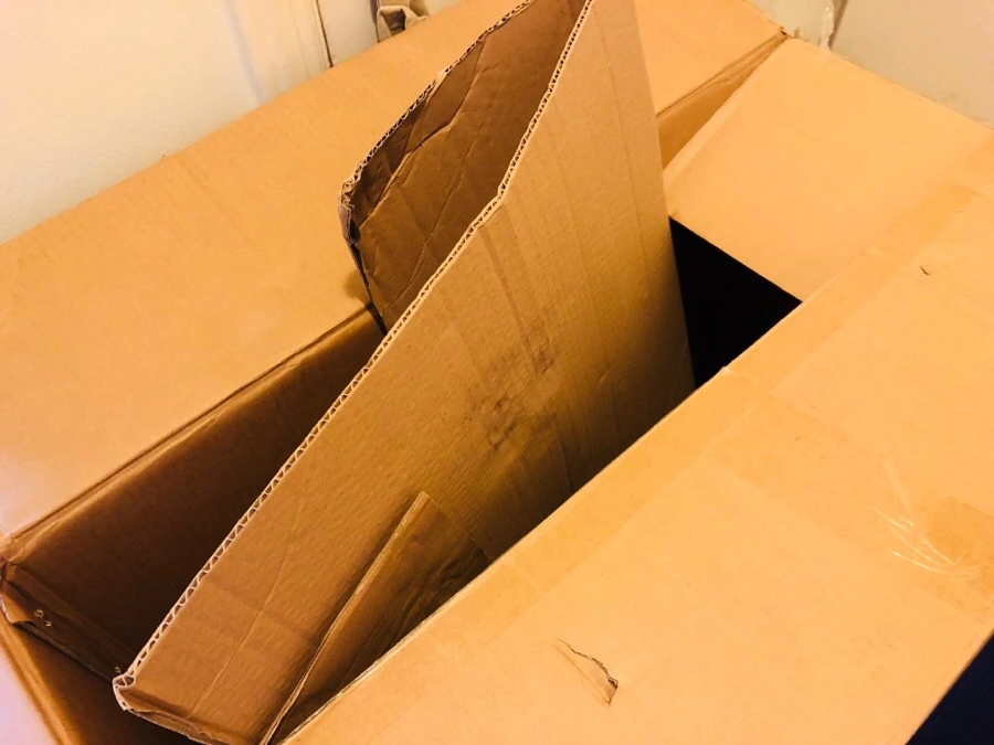 IMG_0891.jpg?type=w966