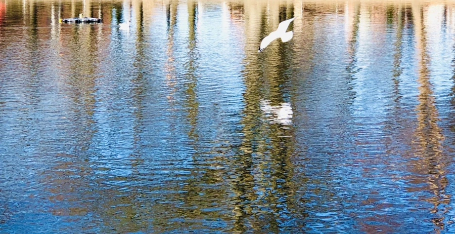 IMG_9774.jpg?type=w966