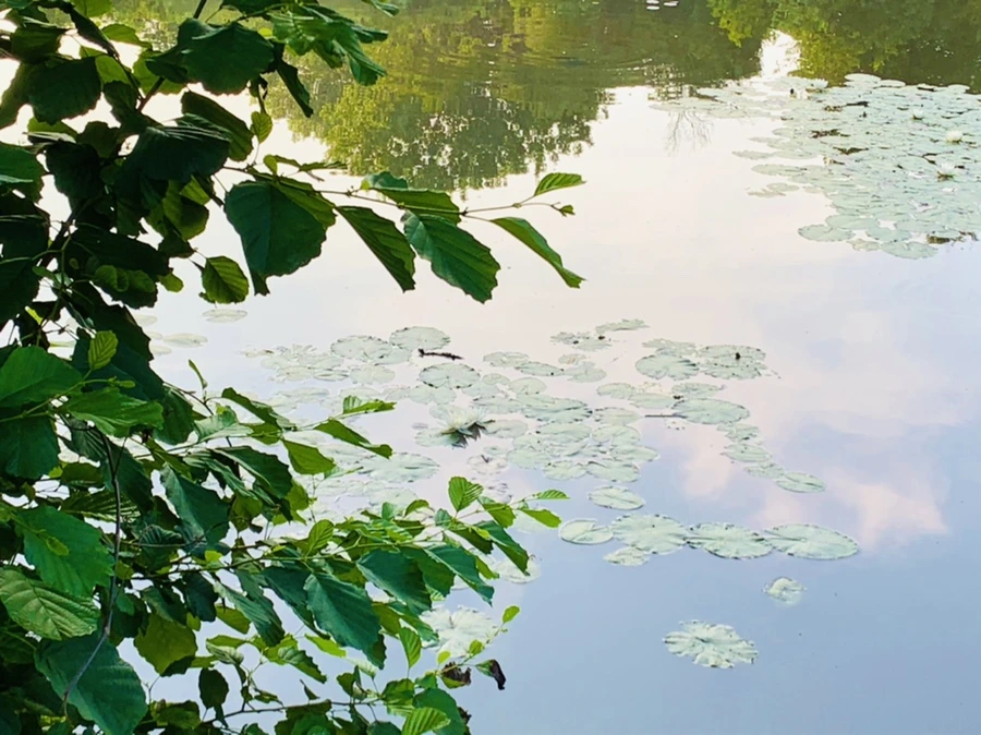 IMG_6408.jpg?type=w966