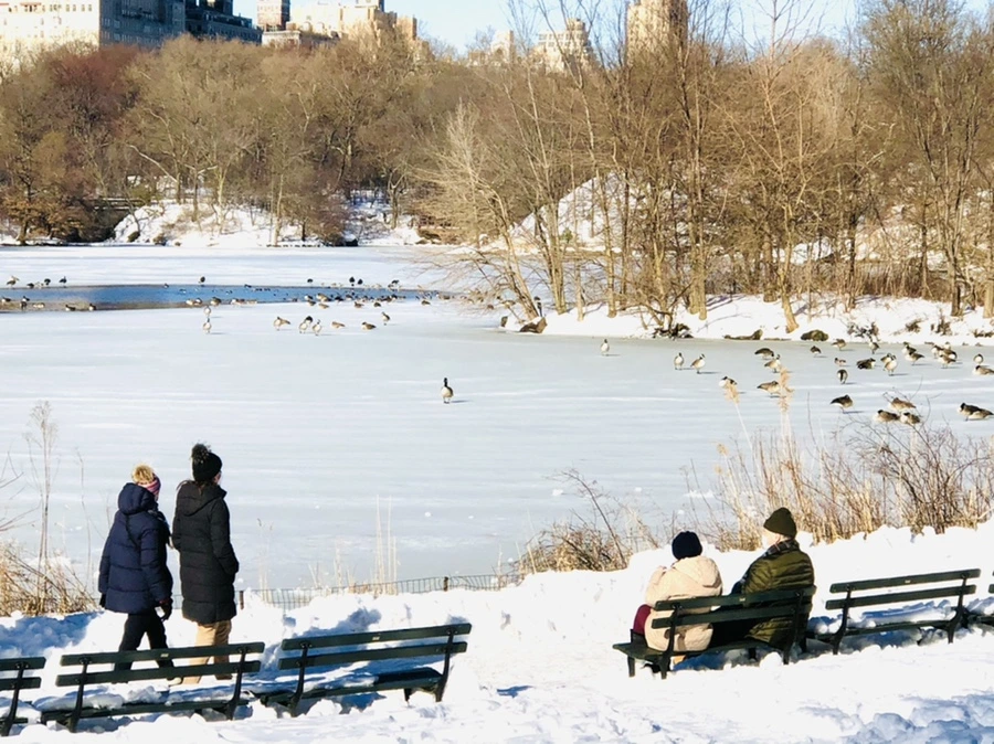 IMG_9814.jpg?type=w966