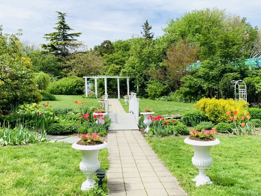 IMG_1290.jpg?type=w966