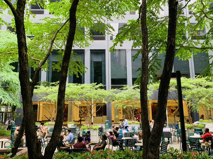 IMG_1871.jpg?type=w966