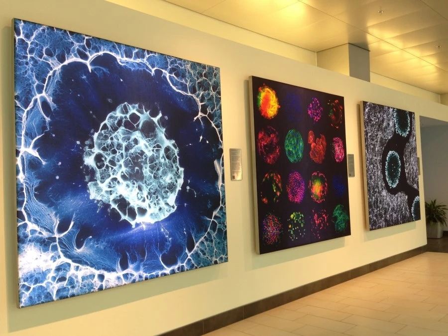 IMG_7643.jpg?type=w1