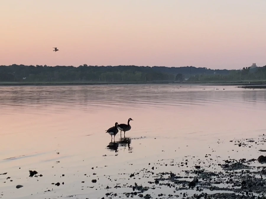 IMG_0094.jpg?type=w966