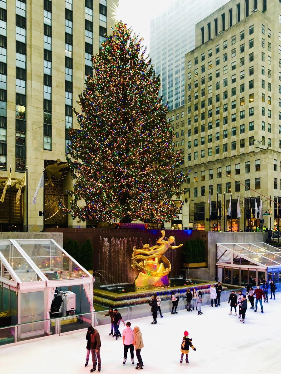 IMG_6593.jpg?type=w966