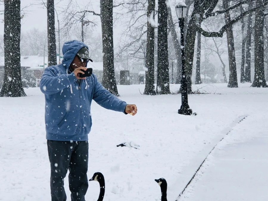 IMG_4176.jpg?type=w966