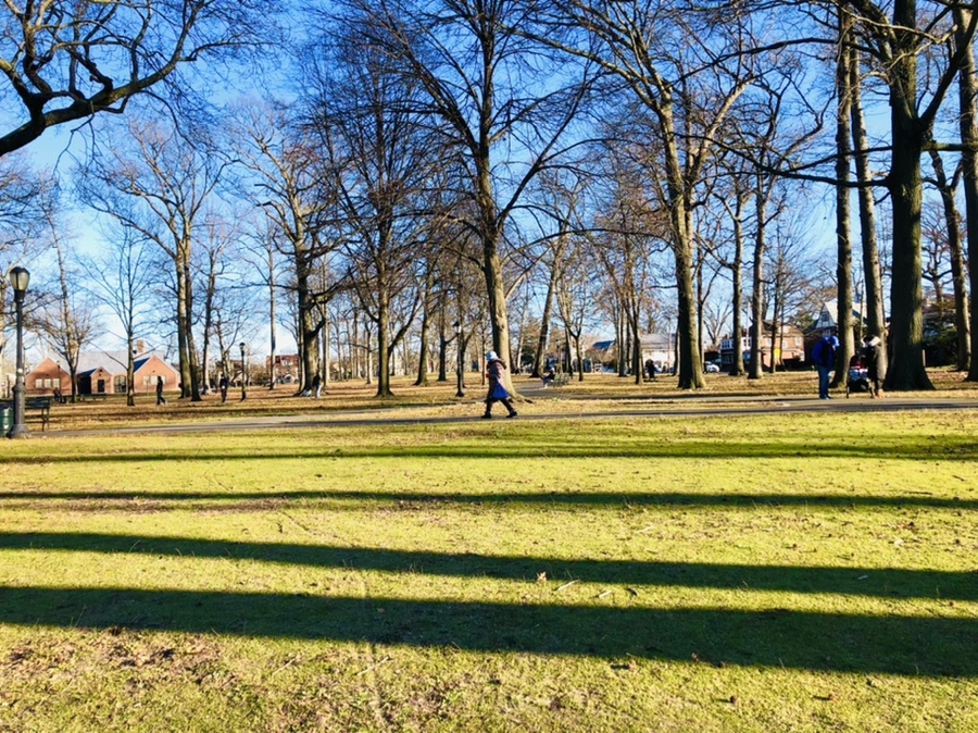 IMG_9319.jpg?type=w966