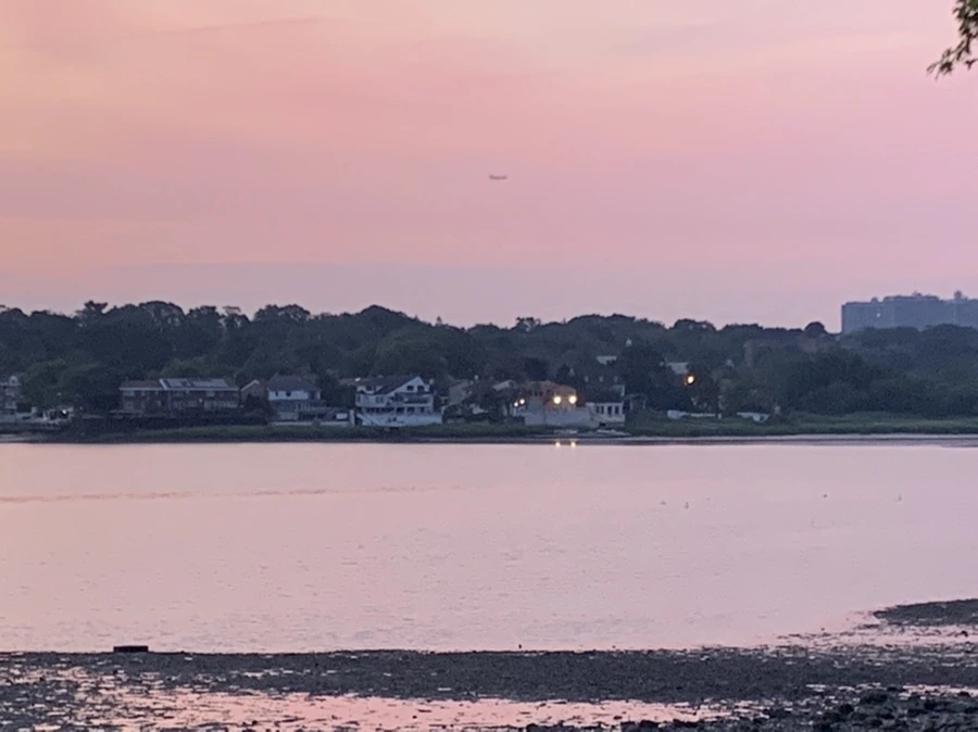 IMG_7487.jpg?type=w966