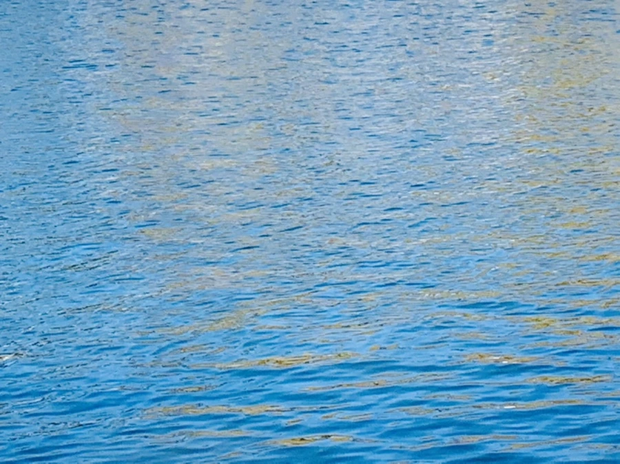 IMG_9948.jpg?type=w966