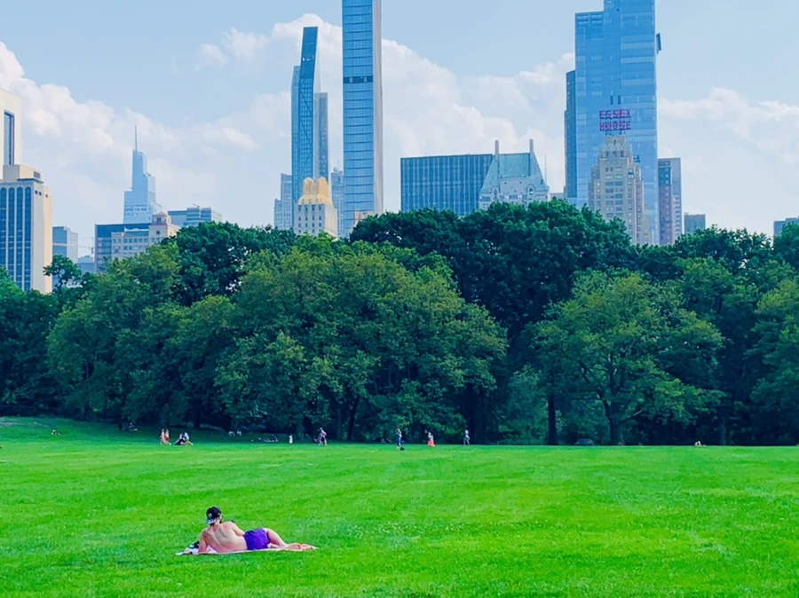 IMG_1695.jpg?type=w966