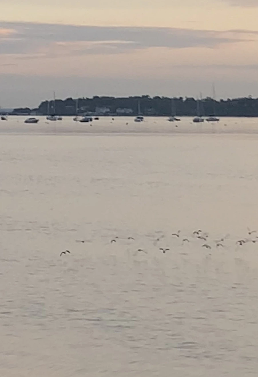 IMG_0962.jpg?type=w966