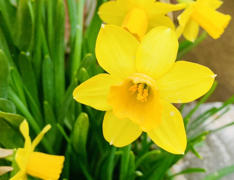 IMG_3206.jpg?type=w966