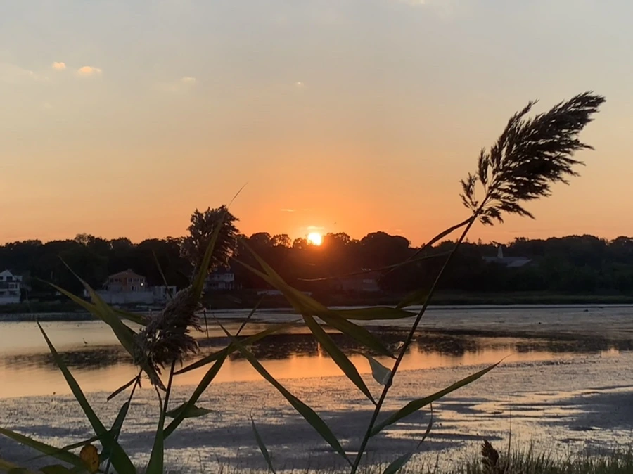 IMG_8874.jpg?type=w966