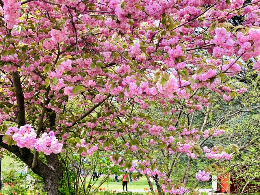 IMG_6995.jpg?type=w966