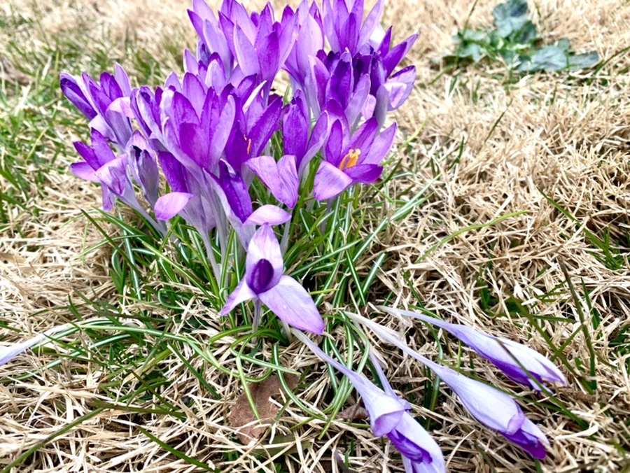 IMG_1085.jpg?type=w966