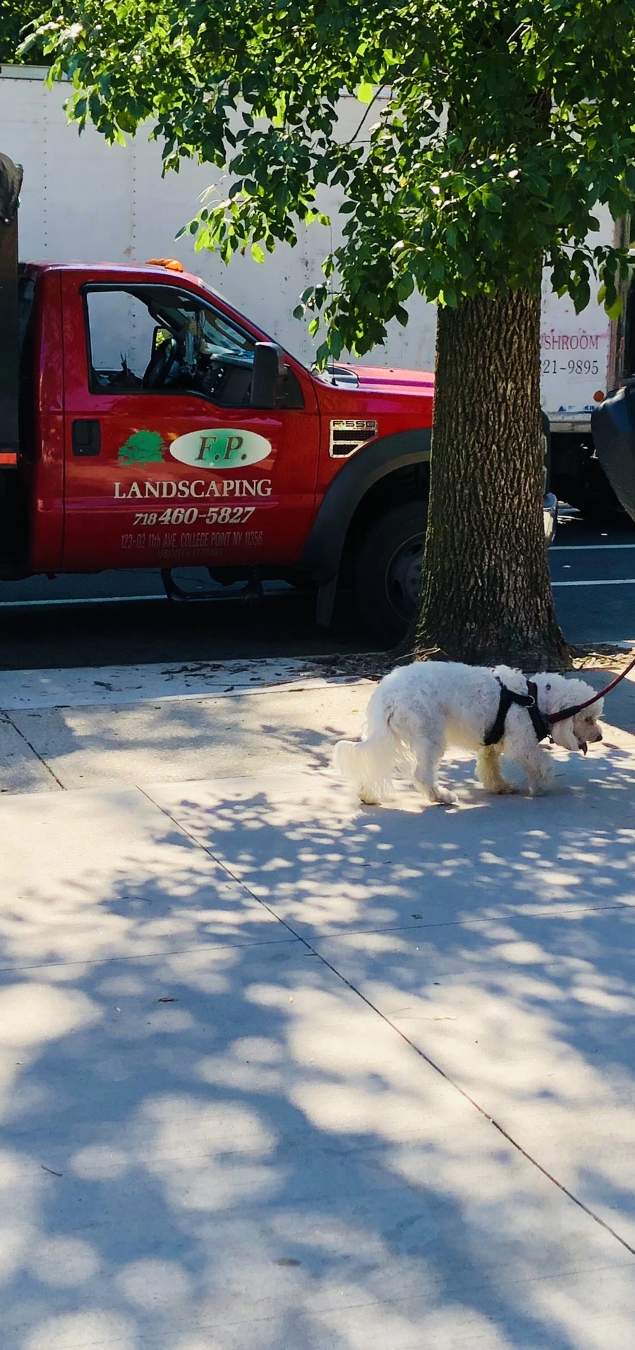 IMG_3463.jpg?type=w966