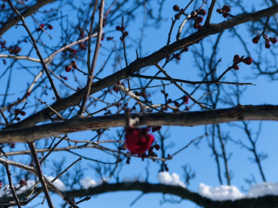 IMG_1362.jpg?type=w966