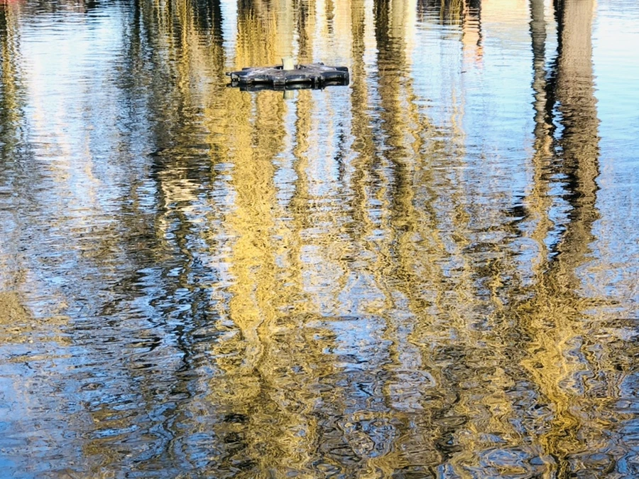 IMG_9776.jpg?type=w966