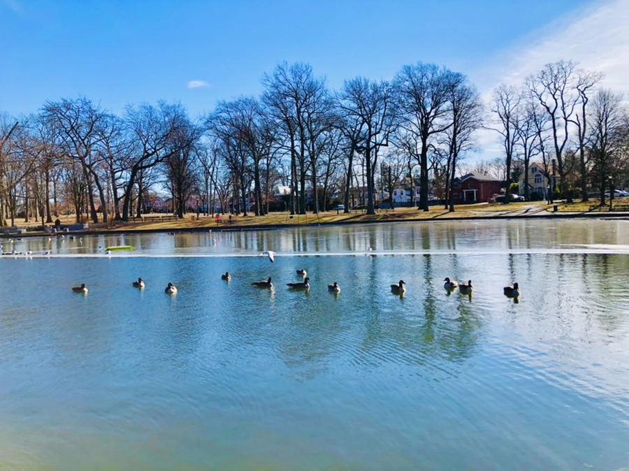 IMG_5501.jpg?type=w966