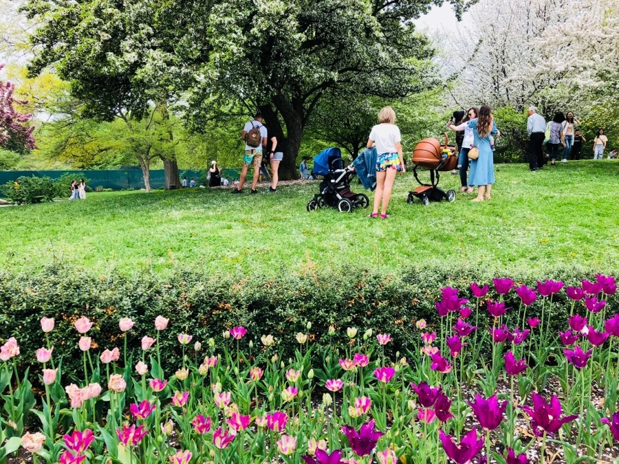 IMG_5494.jpg?type=w966