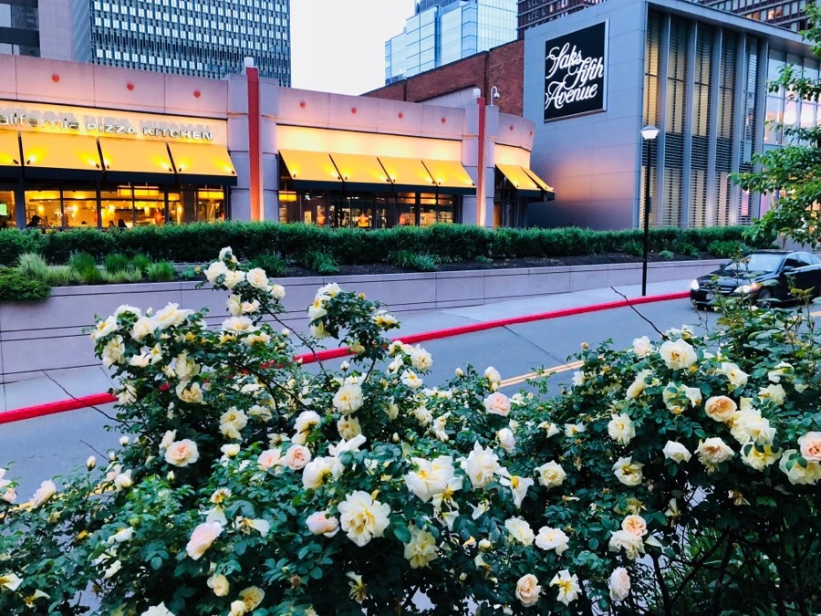 IMG_6659.jpg?type=w966